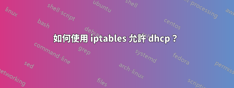 如何使用 iptables 允許 dhcp？