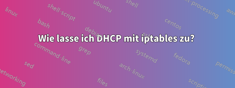 Wie lasse ich DHCP mit iptables zu?