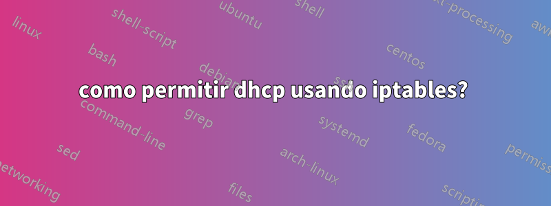 como permitir dhcp usando iptables?