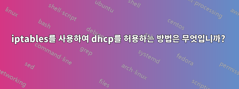 iptables를 사용하여 dhcp를 허용하는 방법은 무엇입니까?