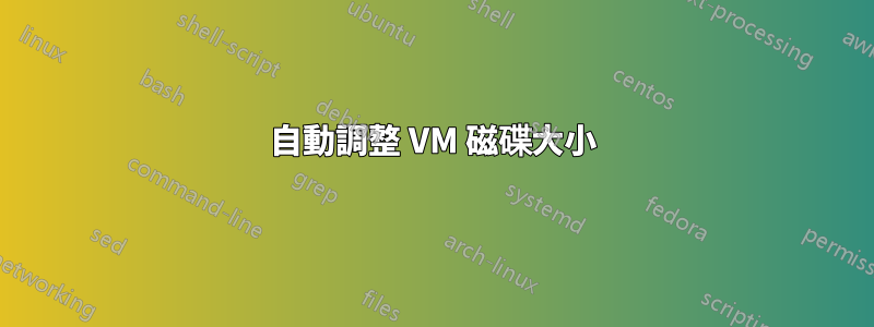 自動調整 VM 磁碟大小