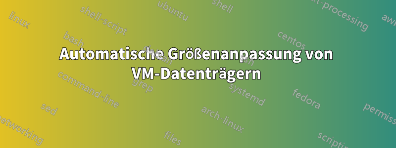 Automatische Größenanpassung von VM-Datenträgern