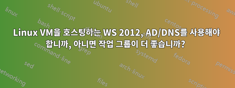 Linux VM을 호스팅하는 WS 2012, AD/DNS를 사용해야 합니까, 아니면 작업 그룹이 더 좋습니까? 