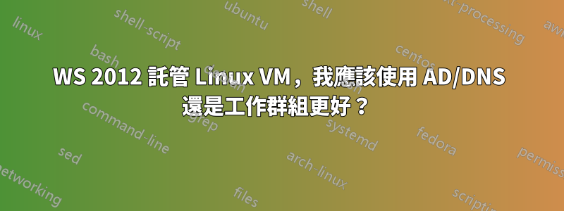 WS 2012 託管 Linux VM，我應該使用 AD/DNS 還是工作群組更好？ 