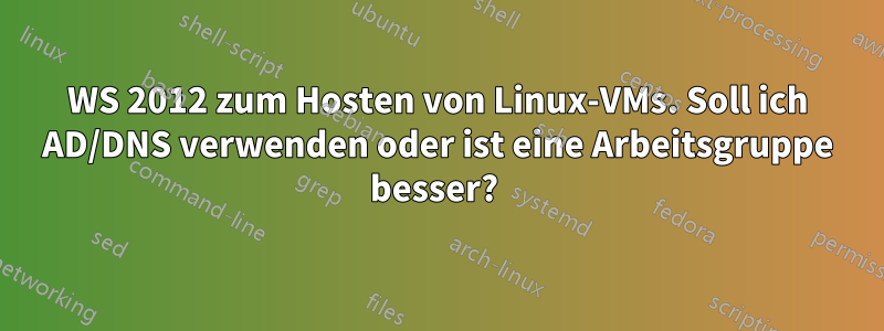 WS 2012 zum Hosten von Linux-VMs. Soll ich AD/DNS verwenden oder ist eine Arbeitsgruppe besser? 