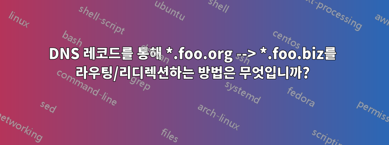 DNS 레코드를 통해 *.foo.org --> *.foo.biz를 라우팅/리디렉션하는 방법은 무엇입니까?