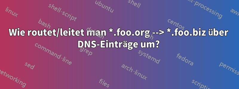 Wie routet/leitet man *.foo.org --> *.foo.biz über DNS-Einträge um?