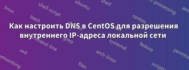 Как настроить DNS в CentOS для разрешения внутреннего IP-адреса локальной сети 