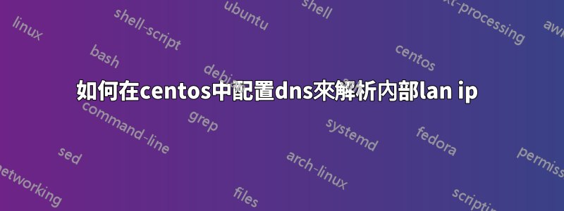 如何在centos中配置dns來解析內部lan ip 