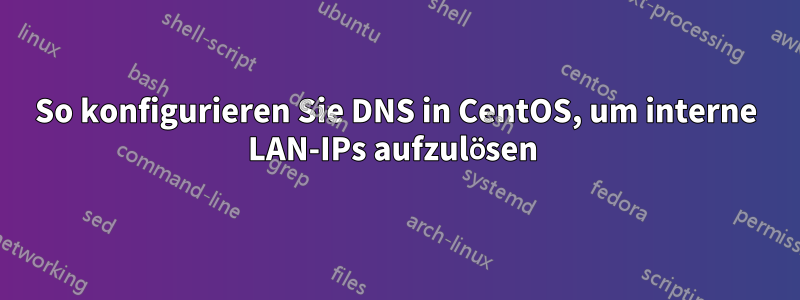 So konfigurieren Sie DNS in CentOS, um interne LAN-IPs aufzulösen 