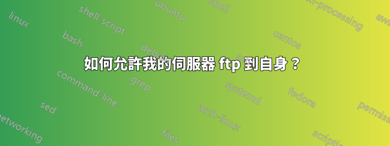 如何允許我的伺服器 ftp 到自身？