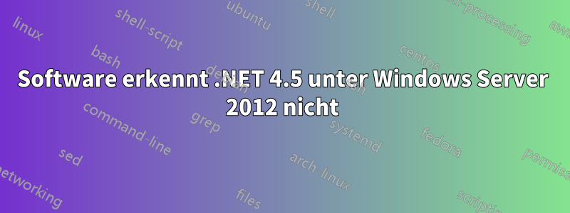 Software erkennt .NET 4.5 unter Windows Server 2012 nicht