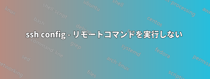 ssh config - リモートコマンドを実行しない