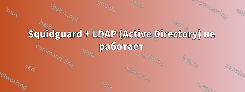 Squidguard + LDAP (Active Directory) не работает