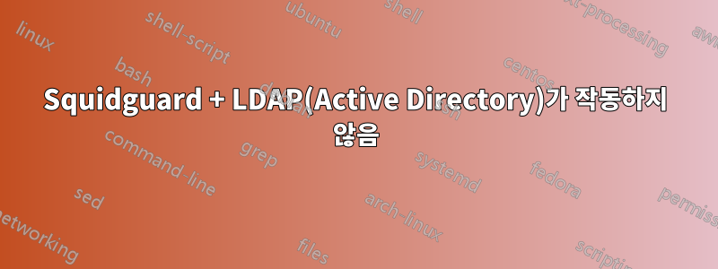 Squidguard + LDAP(Active Directory)가 작동하지 않음