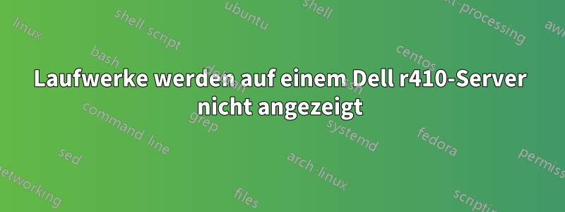 Laufwerke werden auf einem Dell r410-Server nicht angezeigt