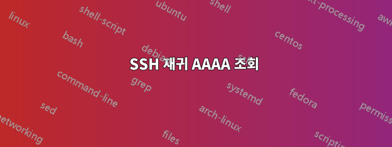 SSH 재귀 AAAA 조회