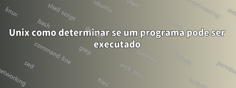 Unix como determinar se um programa pode ser executado