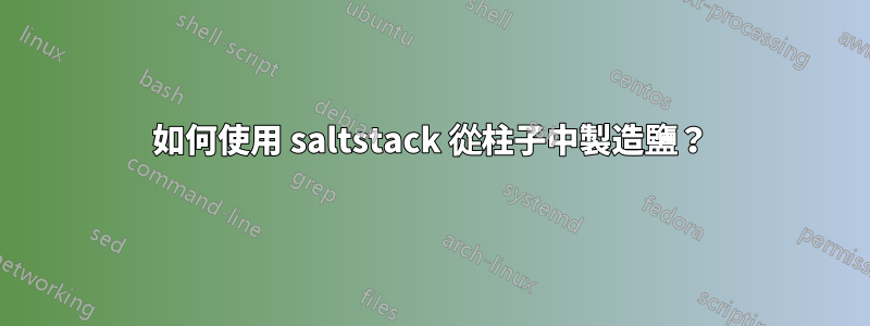 如何使用 saltstack 從柱子中製造鹽？