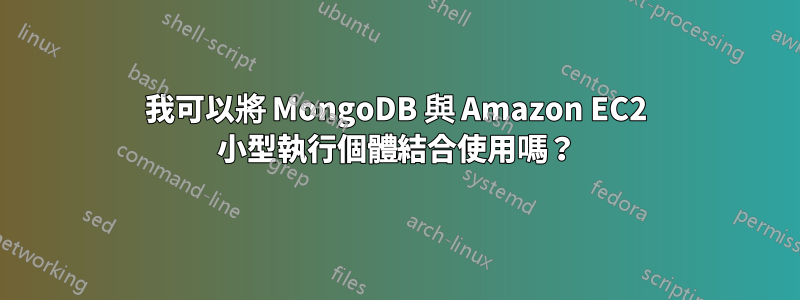 我可以將 MongoDB 與 Amazon EC2 小型執行個體結合使用嗎？