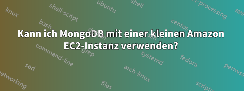 Kann ich MongoDB mit einer kleinen Amazon EC2-Instanz verwenden?