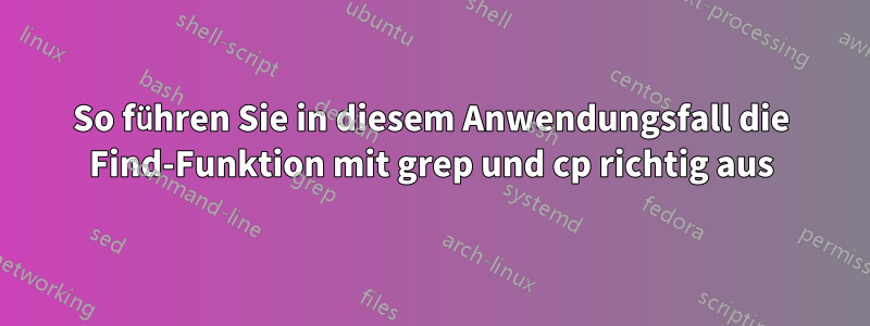 So führen Sie in diesem Anwendungsfall die Find-Funktion mit grep und cp richtig aus