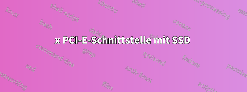 4x PCI-E-Schnittstelle mit SSD