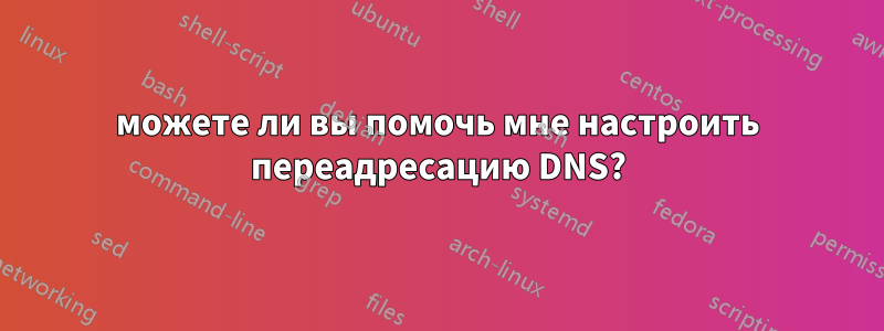 можете ли вы помочь мне настроить переадресацию DNS?