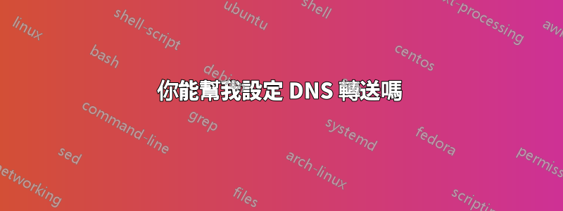 你能幫我設定 DNS 轉送嗎