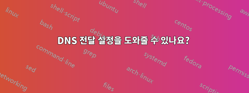 DNS 전달 설정을 도와줄 수 있나요?