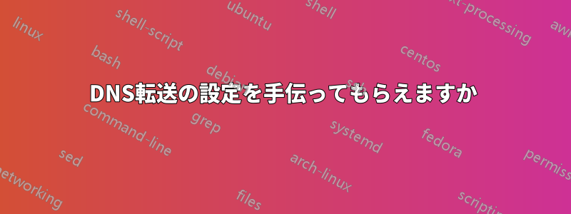 DNS転送の設定を手伝ってもらえますか