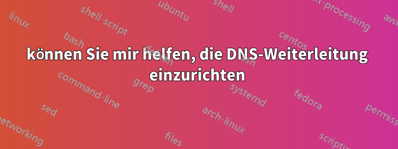 können Sie mir helfen, die DNS-Weiterleitung einzurichten