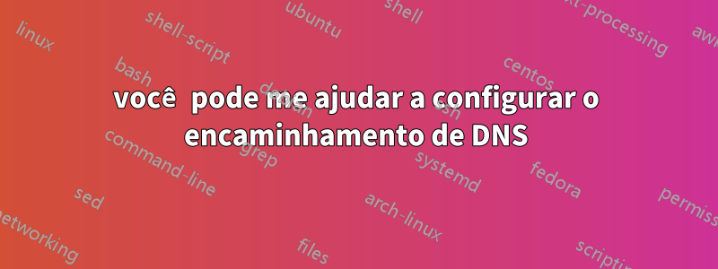 você pode me ajudar a configurar o encaminhamento de DNS