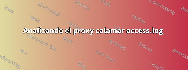 Analizando el proxy calamar access.log