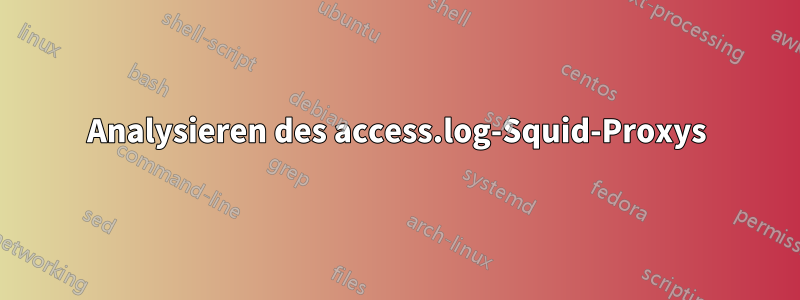 Analysieren des access.log-Squid-Proxys