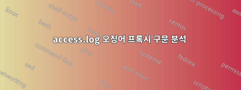 access.log 오징어 프록시 구문 분석