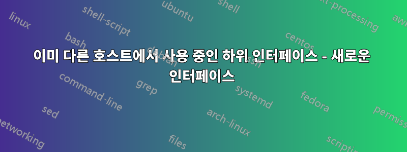 이미 다른 호스트에서 사용 중인 하위 인터페이스 - 새로운 인터페이스