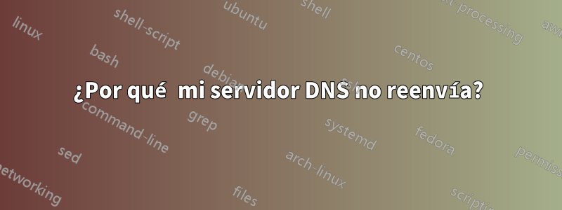 ¿Por qué mi servidor DNS no reenvía?