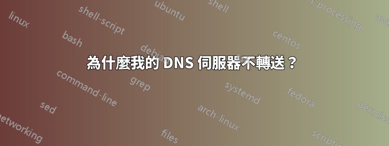 為什麼我的 DNS 伺服器不轉送？