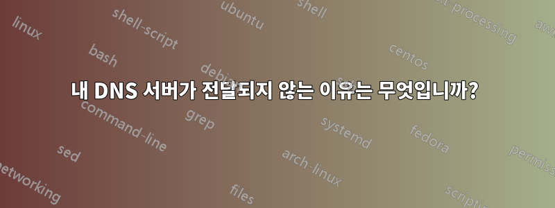 내 DNS 서버가 전달되지 않는 이유는 무엇입니까?