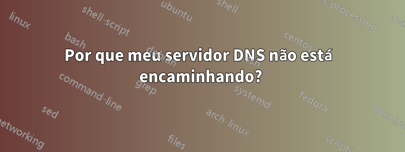 Por que meu servidor DNS não está encaminhando?