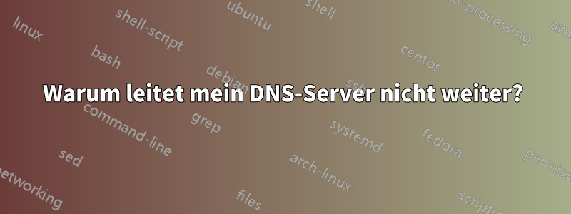 Warum leitet mein DNS-Server nicht weiter?