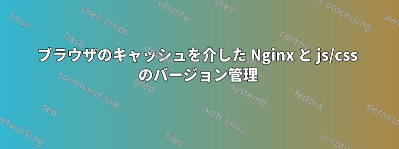 ブラウザのキャッシュを介した Nginx と js/css のバージョン管理