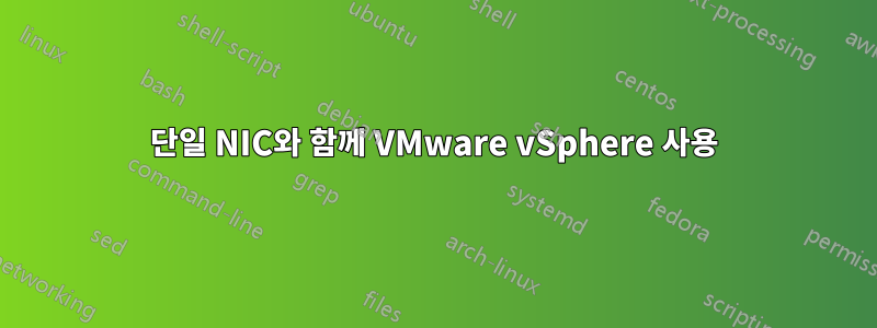 단일 NIC와 함께 VMware vSphere 사용