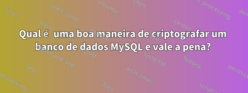 Qual é uma boa maneira de criptografar um banco de dados MySQL e vale a pena?