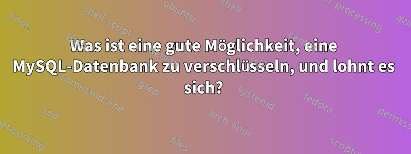 Was ist eine gute Möglichkeit, eine MySQL-Datenbank zu verschlüsseln, und lohnt es sich?