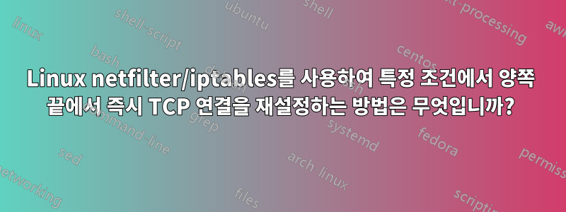 Linux netfilter/iptables를 사용하여 특정 조건에서 양쪽 끝에서 즉시 TCP 연결을 재설정하는 방법은 무엇입니까?