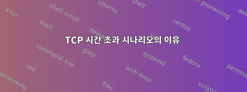 TCP 시간 초과 시나리오의 이유