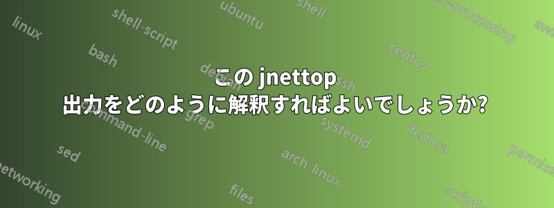 この jnettop 出力をどのように解釈すればよいでしょうか?