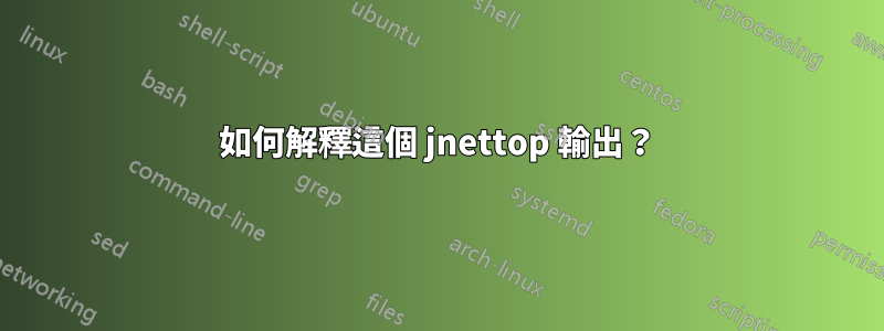 如何解釋這個 jnettop 輸出？
